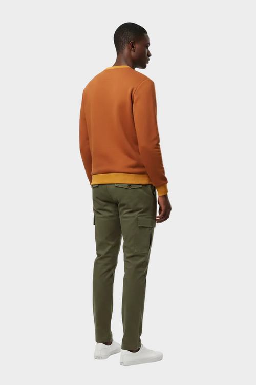 Model Back View