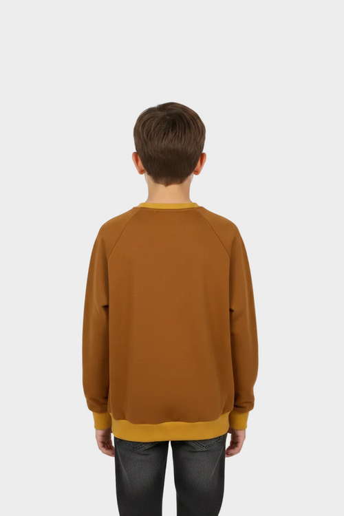 Everyday Comfort Pullover-brown-back-view
