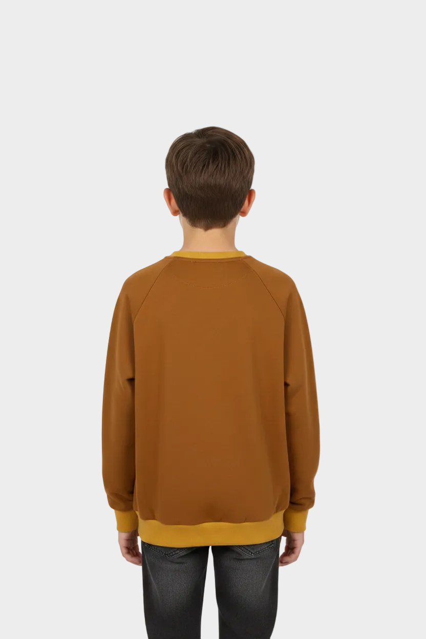Everyday Comfort Pullover-brown-back-view